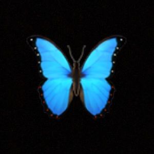 Meet your Posher, Kristian